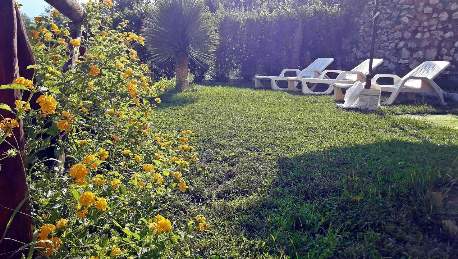 B&B Al Castello Di Lettere Exterior photo